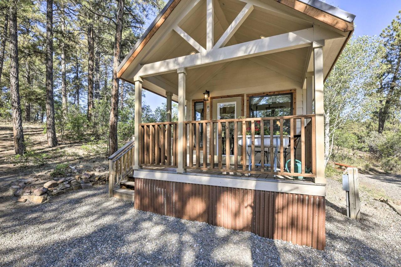 Roomy Pagosa Springs Tiny Cabin 1 Mi To Downtown المظهر الخارجي الصورة