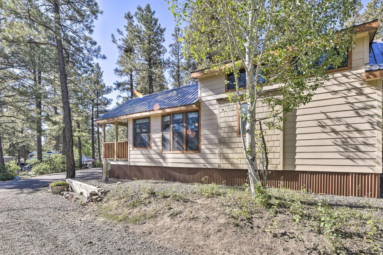 Roomy Pagosa Springs Tiny Cabin 1 Mi To Downtown المظهر الخارجي الصورة